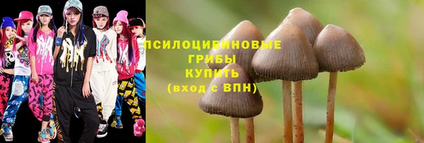 a pvp Вязьма