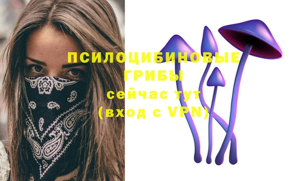 a pvp Вязьма