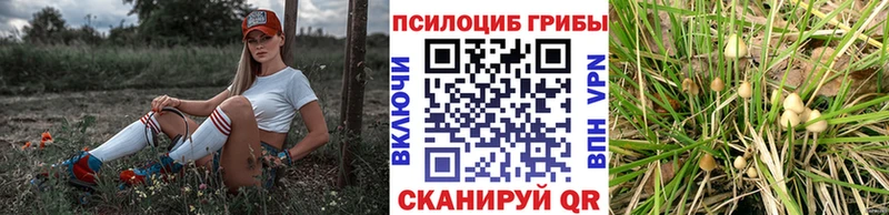 Галлюциногенные грибы Cubensis  даркнет телеграм  Джанкой 